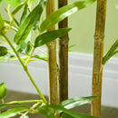 Pianta Artificiale di Bambù da Interno H120 cm con Vaso Verde