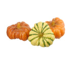 Set 9 Zucca Artificiale Rotonda Larghezza 11 cm