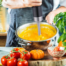 Frullatore a Immersione Elettrico Mixer e Misurino 700 ml 2 Velocità Potenza 1000W Nero e Grigio      