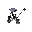 Passeggino Triciclo con Sedile Girevole 65x47x110 cm con Cappotta e Cestini Grigio  