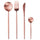 Servizio Set di Posate 24 Pezzi in Acciaio Inox VdE Tivoli 1996 Preciosa Rame