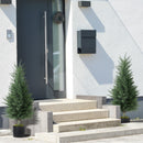 Set 2 Piante Artificiali Albero di Cipresso Ø40x90 cm in PE Anti-UV Verde      