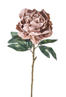 Set 4 Peonia Artificiale anticata Singola Altezza 72 cm Beige