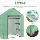 Serra da Giardino con Scaffali e Tetto a Spiovente in PE 143x73x195 cm 
