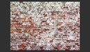 Fotomurale - Her Highness The Brick Carta Da Parato Erroi
