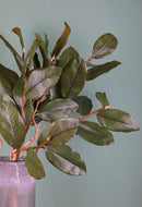 Set 4 Rami Artificiali con Foglie di Magnolia Altezza 83 cm Verde
