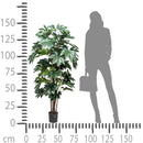 Aralia Artificiale Composta da 60 Foglie Altezza 150 cm Verde