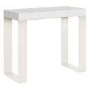 Consolle Allungabile 90-300x40x77 cm Tecno Bianco Frassino telaio Bianco