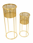 Porta Vasi Nat Coppia Ø17x46 cm - Ø14x34 cm in Ferro Oro      