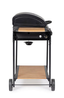 Barbecue a Gas 3 Bruciatori 133x57x98h cm Accensione Piezoelettrica in Acciaio Loni Nero