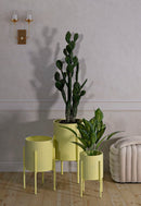 Porta Vasi Iris Tris Ø36x58 cm - Ø30x48 cm - Ø24x38 cm in Ferro Giallo      