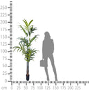 Pianta Artificiale Kenzia con Vaso H 210 cm