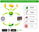 Bioetanolo 1 Litro Combustibile Ecologico per Camini Caminetti Biocamini