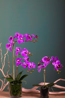 Set 2 Pianta Artificiale di Phalaenopsis Artificiali con Vaso Altezza 38 cm Rosa