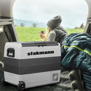 Frigo Congelatore 60 L  Compressore Portatile con Ruote AC/DC 12V/24V Frigorifero 220V Bianco e Grigio      