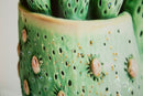 Stampa su Tela Laccata con Cornice Vasetto Cactus 40x2,8x40 cm in Pino e Tela e Plastica      