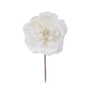 Set 12 Pick Peonia con Glitter 16 cm Crema