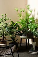 Set 2 Piante Artificiali di Ficus 120 h in Plastica con Vasi Verde