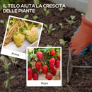 Telo Pacciamatura da Giardino 2x25m in Polipropilene Nero