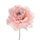 Set 12 Pick Peonia Ø11 cm Rosa