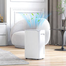 Deumidificatore Portatile Serbatoio 2,5L 32x23x49 cm Bianco  