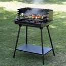 Barbecue a Carbone Carbonella Rettangolare 58x38x82 cm con Vassoio in Acciaio al Carbonio Nero      