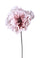 Set 3 Rami Artificiali Peonia 68 cm
