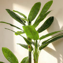Pianta Artificiale Albero di Banano Finto con 18 Foglie Alto 180 cm Verde      