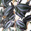 Set 2 Cadente Mini Tradescantia Artificiale con 302 Foglie H50 cm 