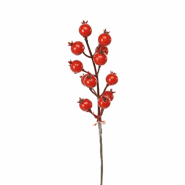 prezzo Set 24 Pick Piricantha H22 cm Rosso