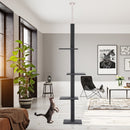 Albero Tiragraffi per Gatti 431x27x228-260 cm  Grigio