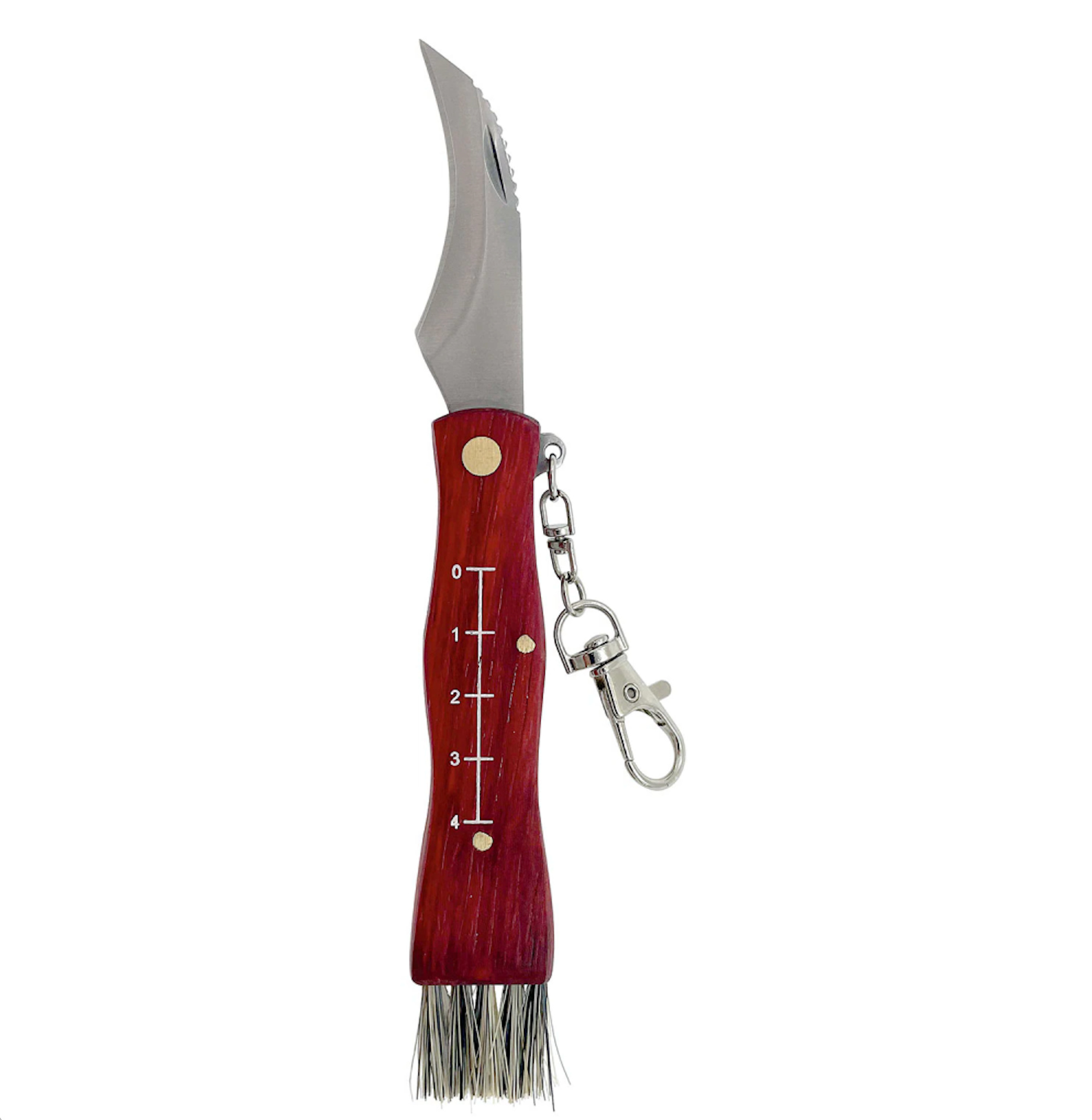 Coltello da Raccolta...