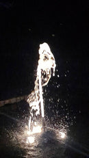 Pompa per Laghetto e Fontane con Gioco d’Acqua a Sorgente