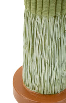 Cactus 16,5x11x45 cm in Resina Multicolor      