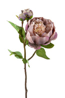 Set 6 Peonia Artificiale Romance con 3 Fiori Altezza 49 cm 
