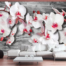 Fotomurale - Orchidee Insensibili 300X210 cm Carta da Parato Erroi