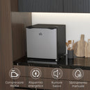 Frigo Portatile 35L con Ripiano Rimovibile e Temperatura Regolabile 47x44.2x48.8 cm Argento      