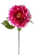 Set 6 Fiori Artificiali Peonia 65 cm 