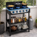 Cucina a Gas GPL da Esterno Piano Cottura con 5 Fuochi 65x45x90 cm in Acciaio      