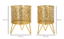 Porta Vasi Piny Coppia Ø16x20 cm - Ø13x20 cm in Ferro Oro      