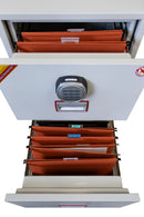 Classificatore Ignifugo Technomax Dfce 2000 per Documenti Elettronico        