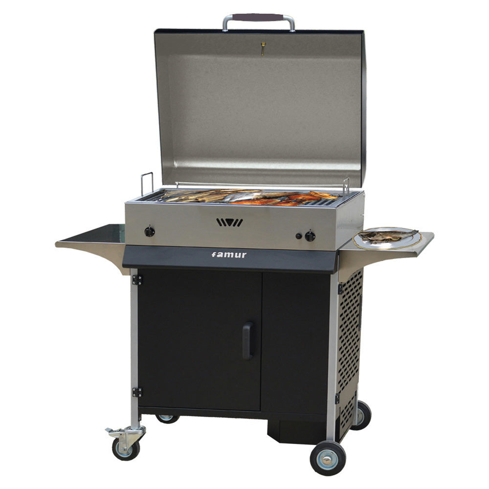 Barbecue a Gas...