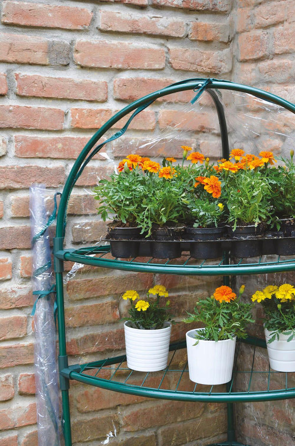 sconto Serra Angolare da Giardino in Metallo e PVC Bertozzi