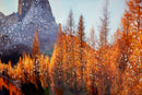 Stampa su Tela Laccata con Cornice Lake 90x4x60 cm in Pino e Tela e Plastica      