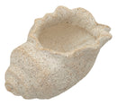 Vaso Shell Sand 35x23x18 cm in Mgo Beige      