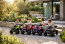 Quad Elettrico per Bambini Safari 6V con Bauletto Posteriore Rosso