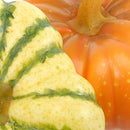 Set 9 Zucca Artificiale Rotonda Larghezza 11 cm