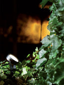 Faretto con Picchetto da Esterno a LED 15W 4000K Sovil Grigio