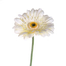Set 12 Fiori Artificiali di Gerbera Altezza 63 cm Bianco