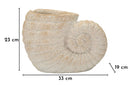Vaso Shell Sand 33x19x23 cm in Mgo Beige      